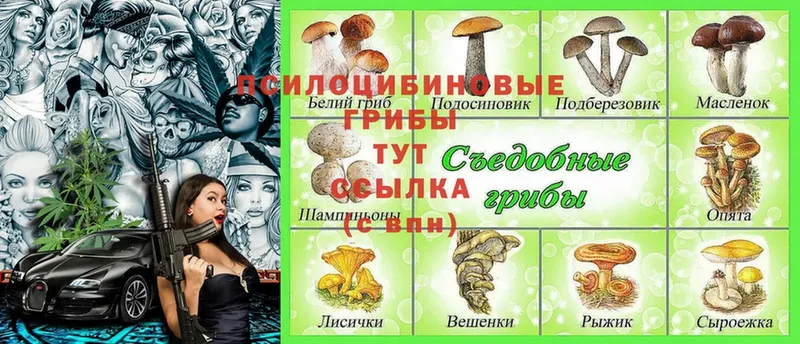 Галлюциногенные грибы Magic Shrooms  закладка  Краснослободск 